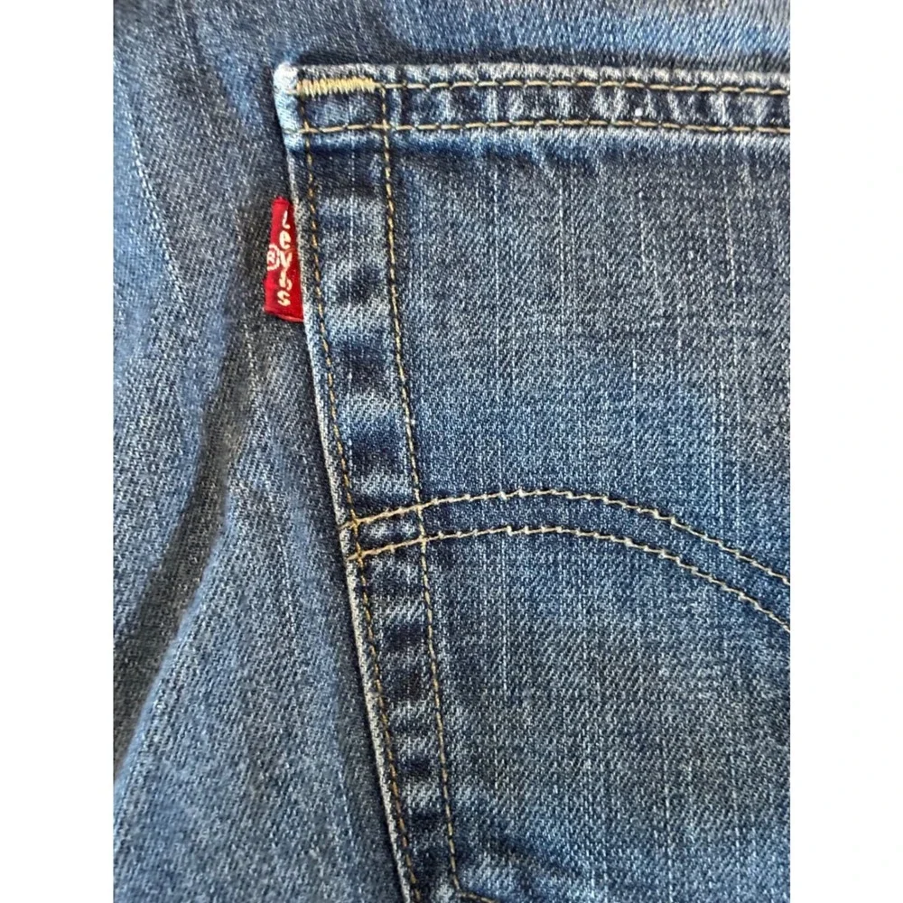 Levis levis 511